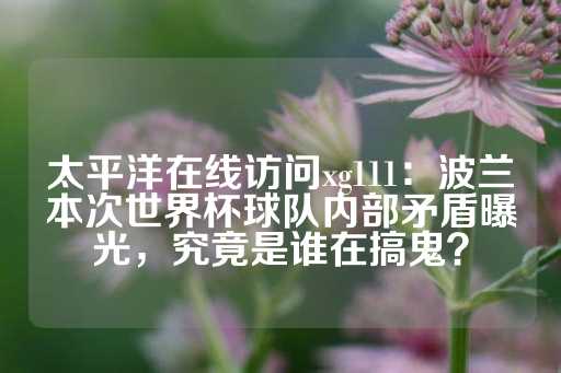 太平洋在线访问xg111：波兰本次世界杯球队内部矛盾曝光，究竟是谁在搞鬼？