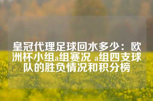 皇冠代理足球回水多少：欧洲杯小组a组赛况 a组四支球队的胜负情况和积分榜