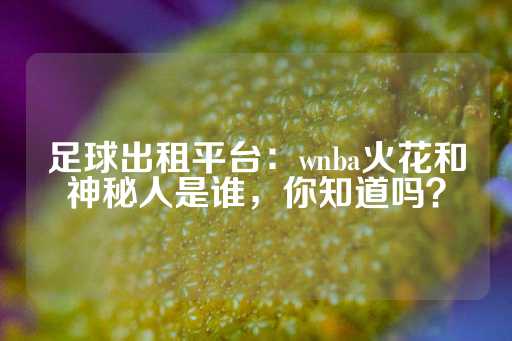 足球出租平台：wnba火花和神秘人是谁，你知道吗？