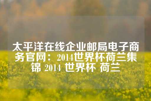 太平洋在线企业邮局电子商务官网：2014世界杯荷兰集锦 2014 世界杯 荷兰