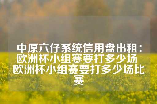 中原六仔系统信用盘出租：欧洲杯小组赛要打多少场 欧洲杯小组赛要打多少场比赛