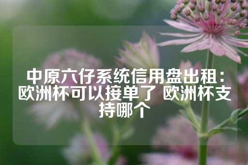 中原六仔系统信用盘出租：欧洲杯可以接单了 欧洲杯支持哪个-第1张图片-皇冠信用盘出租