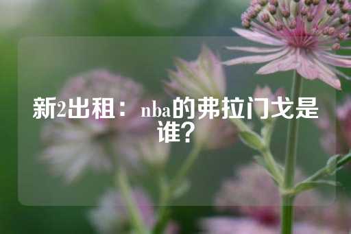 新2出租：nba的弗拉门戈是谁？-第1张图片-皇冠信用盘出租