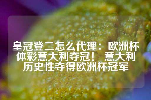 皇冠登二怎么代理：欧洲杯体彩意大利夺冠！ 意大利历史性夺得欧洲杯冠军