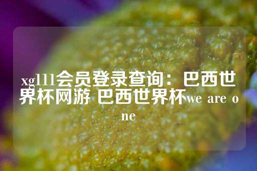 xg111会员登录查询：巴西世界杯网游 巴西世界杯we are one