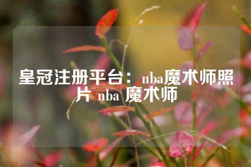 皇冠注册平台：nba魔术师照片 nba 魔术师