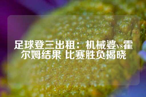 足球登三出租：机械婆vs霍尔姆结果 比赛胜负揭晓-第1张图片-皇冠信用盘出租