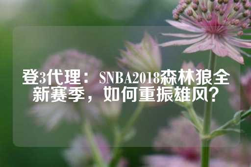 登3代理：SNBA2018森林狼全新赛季，如何重振雄风？