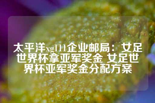 太平洋xg111企业邮局：女足世界杯拿亚军奖金 女足世界杯亚军奖金分配方案