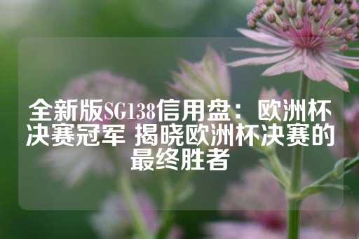 全新版SG138信用盘：欧洲杯决赛冠军 揭晓欧洲杯决赛的最终胜者