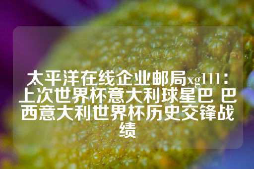 太平洋在线企业邮局xg111：上次世界杯意大利球星巴 巴西意大利世界杯历史交锋战绩-第1张图片-皇冠信用盘出租