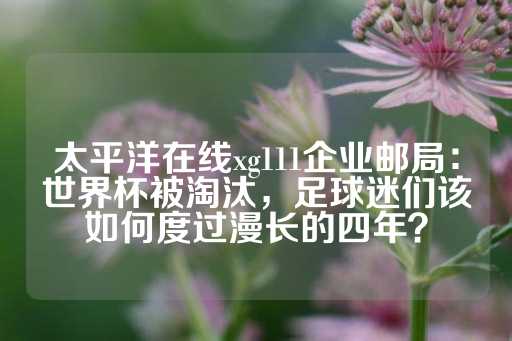 太平洋在线xg111企业邮局：世界杯被淘汰，足球迷们该如何度过漫长的四年？