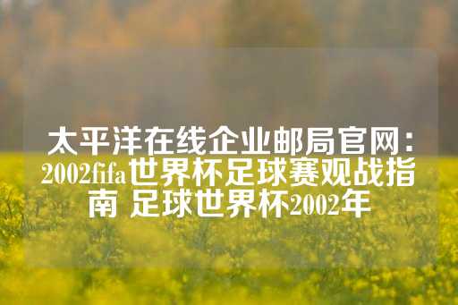 太平洋在线企业邮局官网：2002fifa世界杯足球赛观战指南 足球世界杯2002年