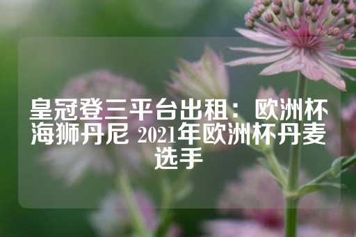 皇冠登三平台出租：欧洲杯海狮丹尼 2021年欧洲杯丹麦选手