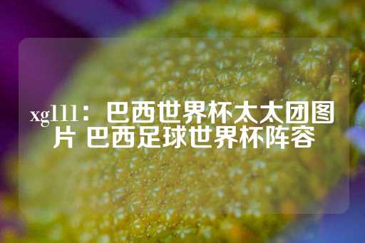 xg111：巴西世界杯太太团图片 巴西足球世界杯阵容