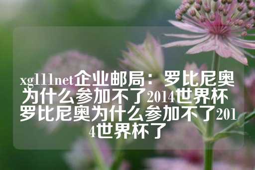 xg111net企业邮局：罗比尼奥为什么参加不了2014世界杯 罗比尼奥为什么参加不了2014世界杯了