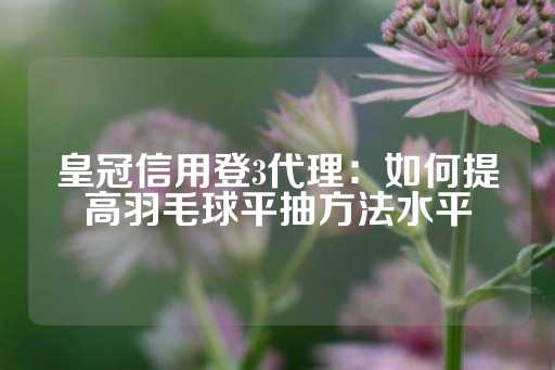 皇冠信用登3代理：如何提高羽毛球平抽方法水平-第1张图片-皇冠信用盘出租