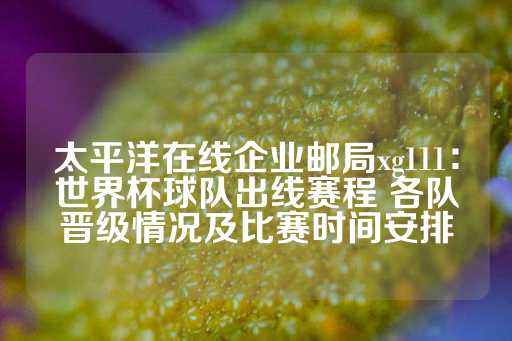 太平洋在线企业邮局xg111：世界杯球队出线赛程 各队晋级情况及比赛时间安排