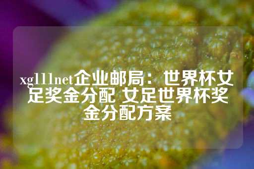 xg111net企业邮局：世界杯女足奖金分配 女足世界杯奖金分配方案-第1张图片-皇冠信用盘出租