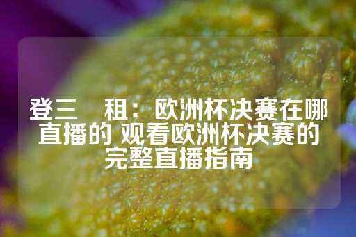 登三岀租：欧洲杯决赛在哪直播的 观看欧洲杯决赛的完整直播指南-第1张图片-皇冠信用盘出租