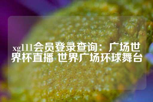 xg111会员登录查询：广场世界杯直播 世界广场环球舞台