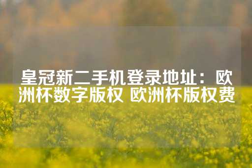 皇冠新二手机登录地址：欧洲杯数字版权 欧洲杯版权费