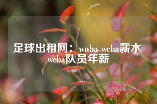 足球出租网：wnba wcba薪水 wcba队员年薪