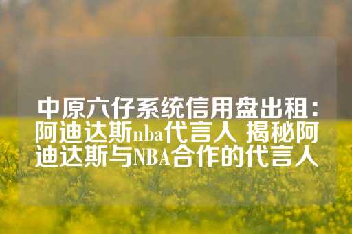 中原六仔系统信用盘出租：阿迪达斯nba代言人 揭秘阿迪达斯与NBA合作的代言人