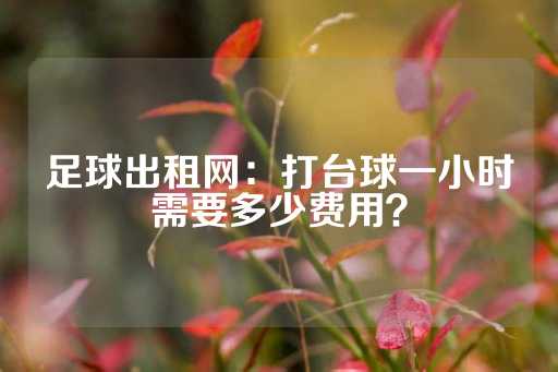 足球出租网：打台球一小时需要多少费用？