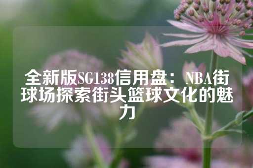 全新版SG138信用盘：NBA街球场探索街头篮球文化的魅力-第1张图片-皇冠信用盘出租