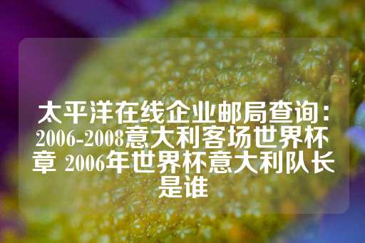 太平洋在线企业邮局查询：2006-2008意大利客场世界杯章 2006年世界杯意大利队长是谁