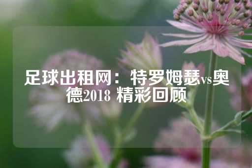 足球出租网：特罗姆瑟vs奥德2018 精彩回顾