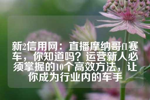 新2信用网：直播摩纳哥f1赛车，你知道吗？运营新人必须掌握的10个高效方法，让你成为行业内的车手