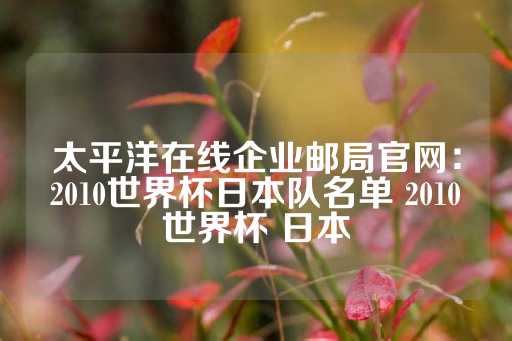 太平洋在线企业邮局官网：2010世界杯日本队名单 2010世界杯 日本