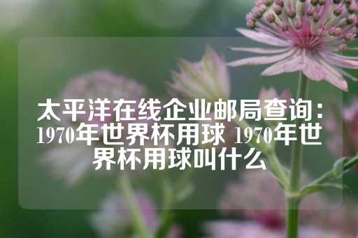 太平洋在线企业邮局查询：1970年世界杯用球 1970年世界杯用球叫什么-第1张图片-皇冠信用盘出租