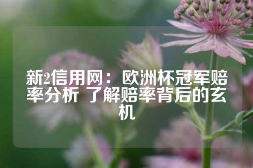 新2信用网：欧洲杯冠军赔率分析 了解赔率背后的玄机