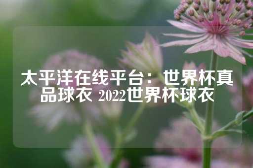 太平洋在线平台：世界杯真品球衣 2022世界杯球衣-第1张图片-皇冠信用盘出租