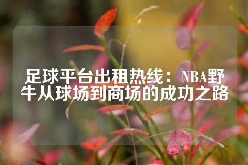 足球平台出租热线：NBA野牛从球场到商场的成功之路-第1张图片-皇冠信用盘出租