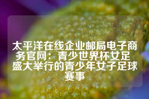 太平洋在线企业邮局电子商务官网：青少世界杯女足 盛大举行的青少年女子足球赛事