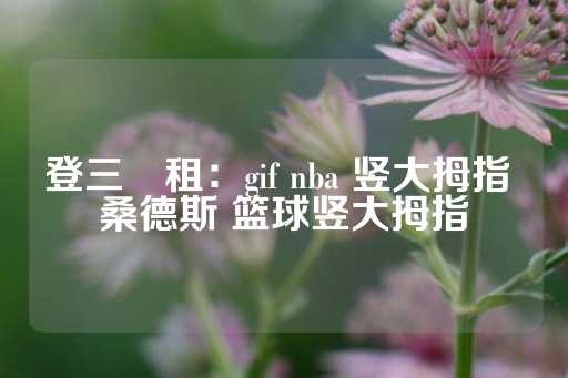 登三岀租：gif nba 竖大拇指 桑德斯 篮球竖大拇指-第1张图片-皇冠信用盘出租