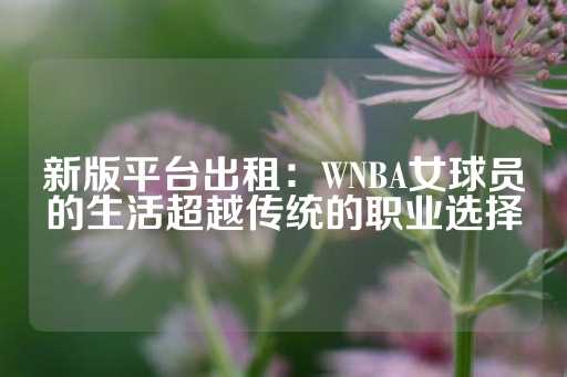 新版平台出租：WNBA女球员的生活超越传统的职业选择