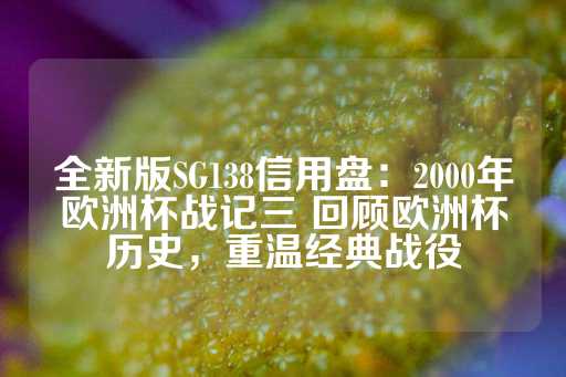 全新版SG138信用盘：2000年欧洲杯战记三 回顾欧洲杯历史，重温经典战役