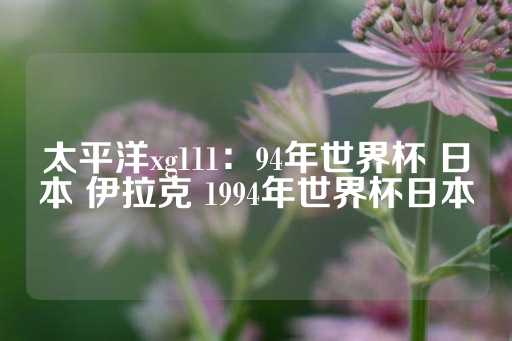 太平洋xg111：94年世界杯 日本 伊拉克 1994年世界杯日本