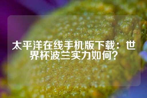 太平洋在线手机版下载：世界杯波兰实力如何？