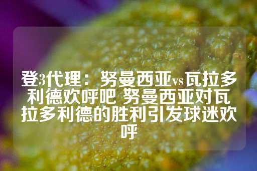 登3代理：努曼西亚vs瓦拉多利德欢呼吧 努曼西亚对瓦拉多利德的胜利引发球迷欢呼