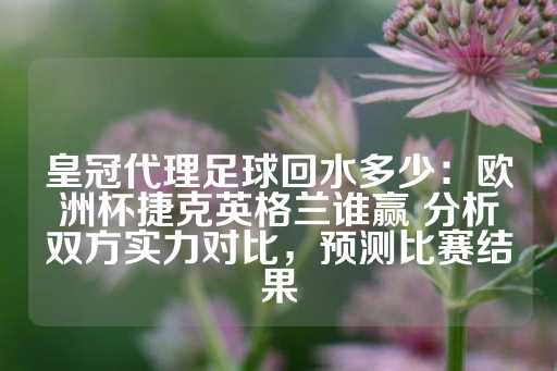 皇冠代理足球回水多少：欧洲杯捷克英格兰谁赢 分析双方实力对比，预测比赛结果-第1张图片-皇冠信用盘出租