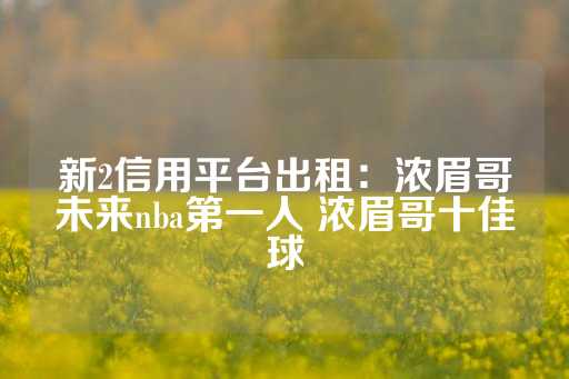 新2信用平台出租：浓眉哥未来nba第一人 浓眉哥十佳球