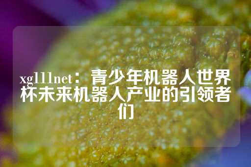 xg111net：青少年机器人世界杯未来机器人产业的引领者们