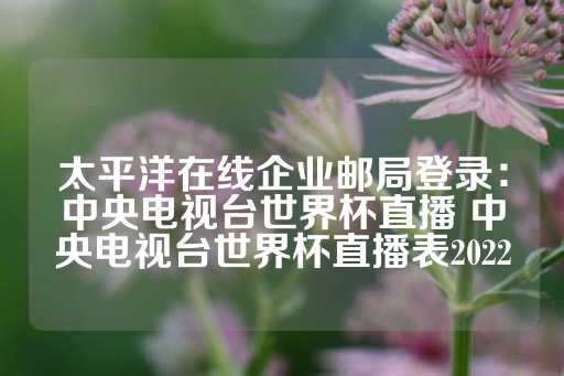 太平洋在线企业邮局登录：中央电视台世界杯直播 中央电视台世界杯直播表2022-第1张图片-皇冠信用盘出租