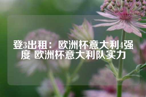 登3出租：欧洲杯意大利4强度 欧洲杯意大利队实力